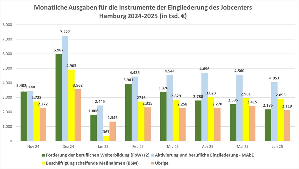 Monatliche Ausgaben fur die Instrumente der Eingliederung des JC HH 2024 2025